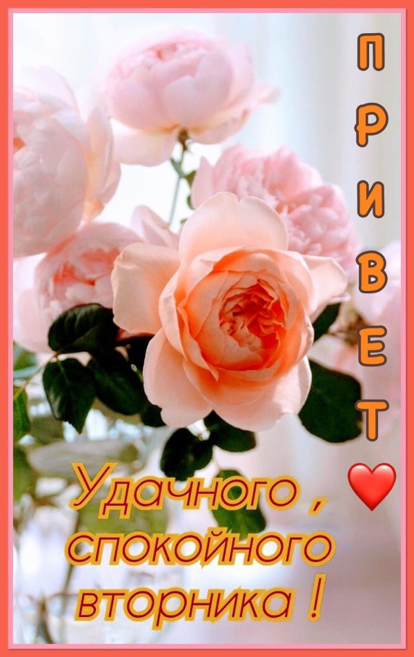 успешного вторника