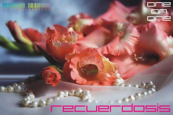 гладиолусы открытка