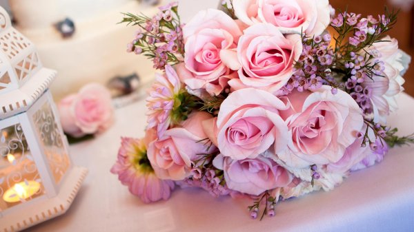 букет красивый цветов