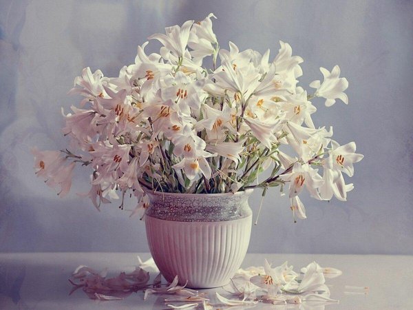 весенние натюрморты валентины корибут