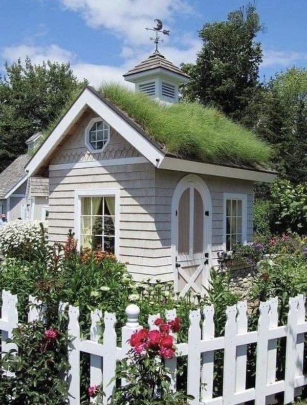 тини хаус экстерьер