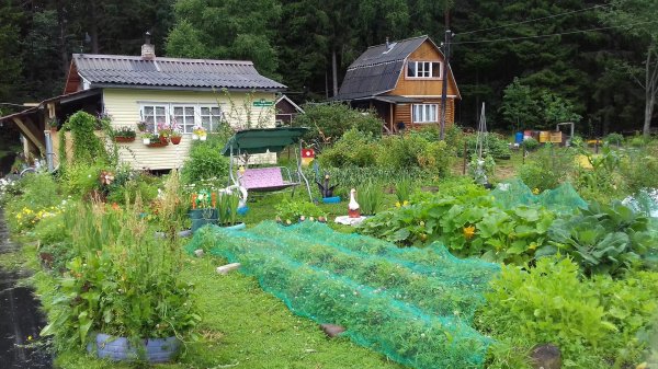 огород на садовом участке