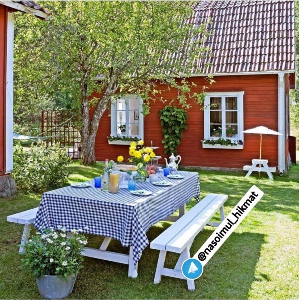 кантри бэкярд