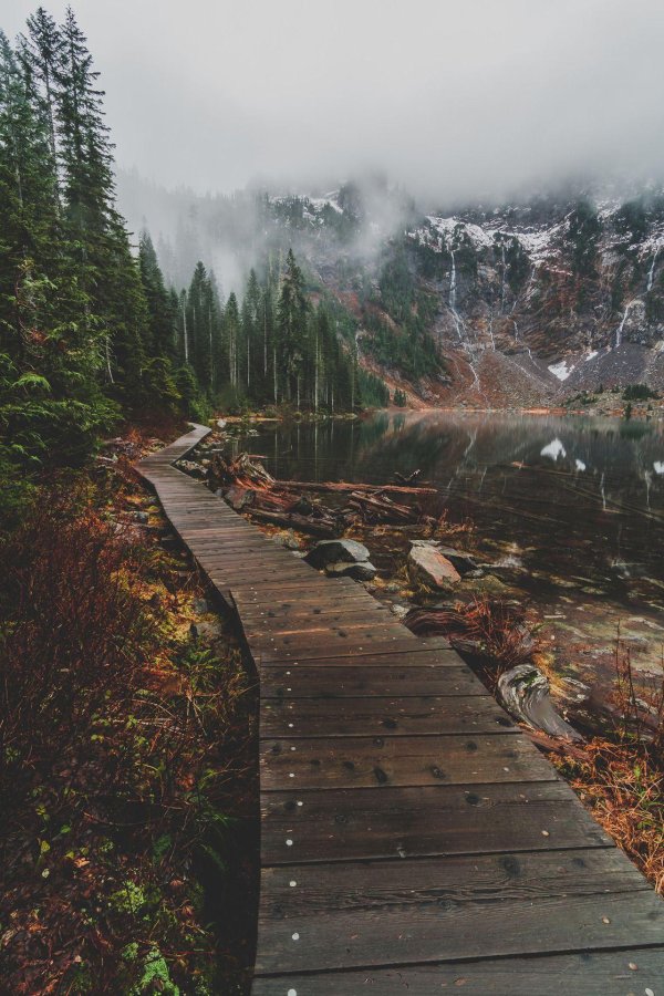 пинтерест природа