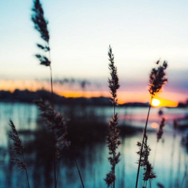 природа закат