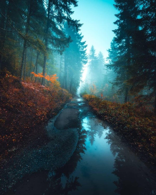 пейзажи осенние