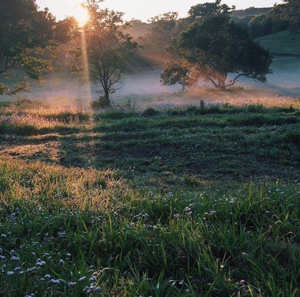 утренние пейзажи