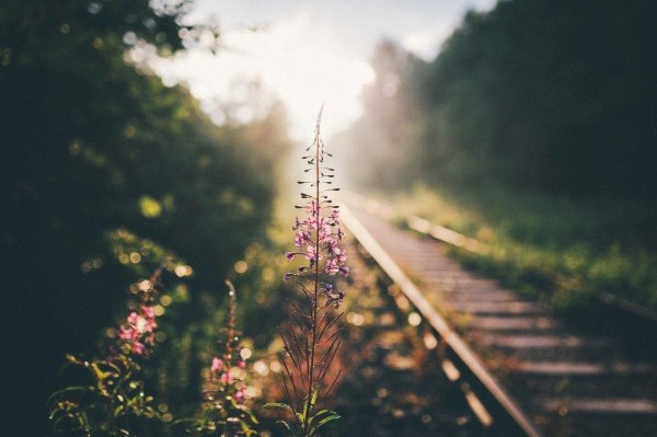 атмосферные фотки