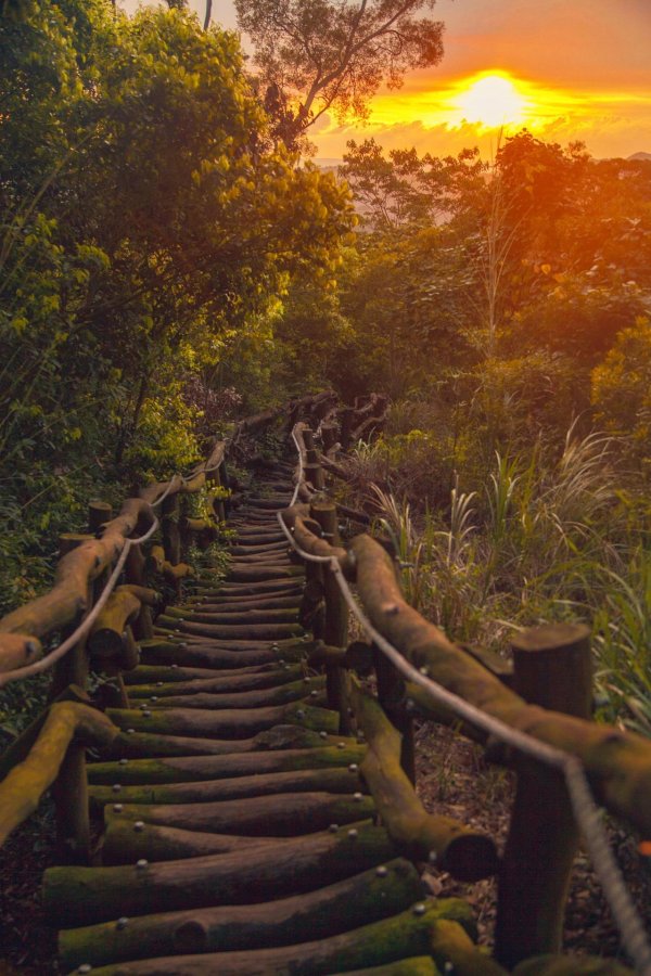 природа красивая