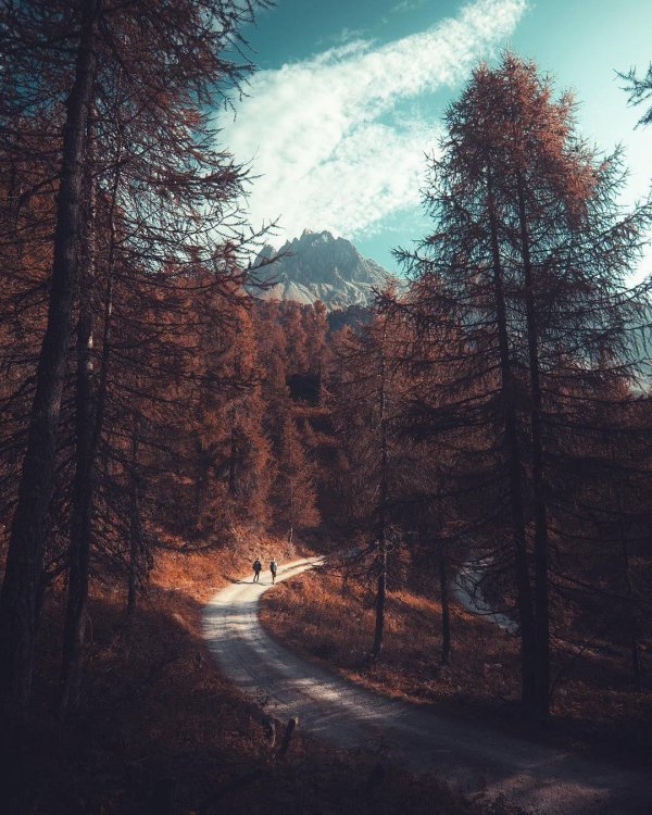 эстетические пейзажи