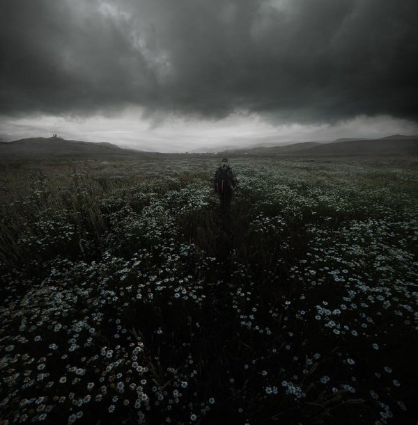 мрачное одиночество