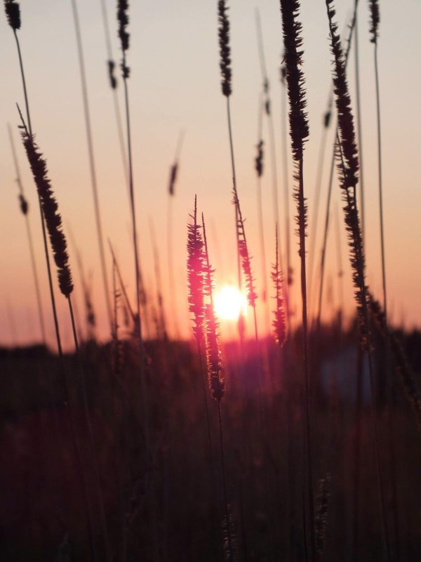 эстетика прекрасного