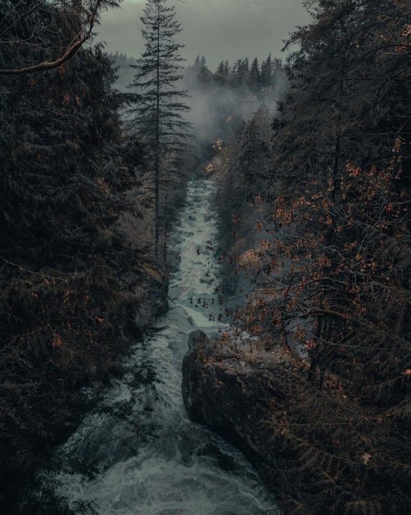 скандинавия лес шварцвальд