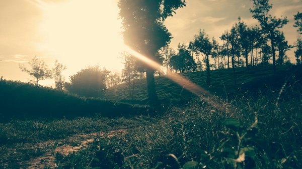 природа атмосфера