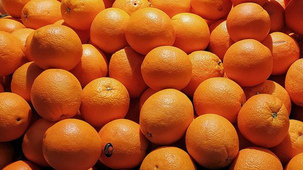 оранжевые фрукты