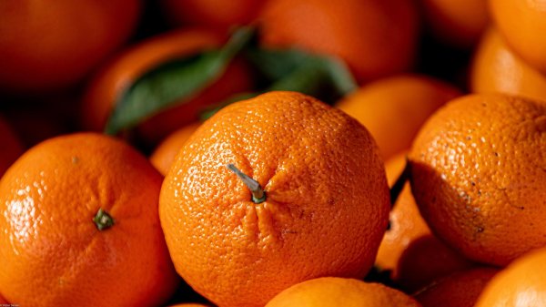 оранжевые фрукты