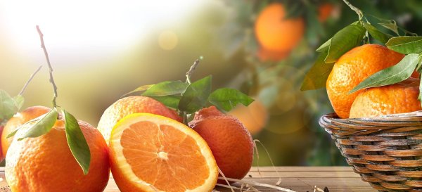 фон с апельсинами