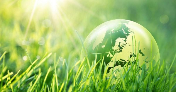 зеленый мир