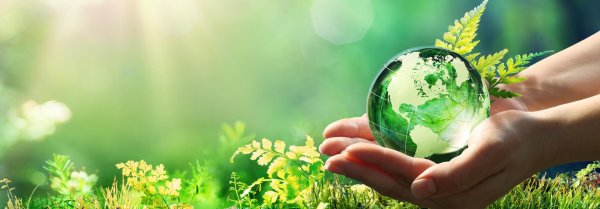 чистота природы