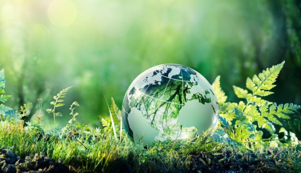 зеленый мир