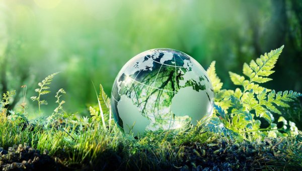 зеленый мир