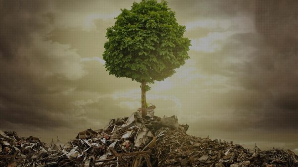 экологическая проблема