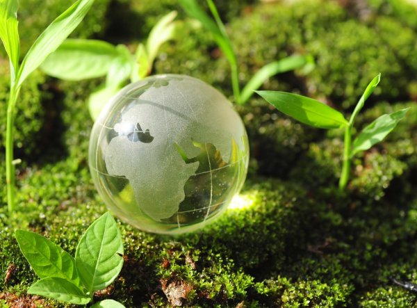 экологическая сфера