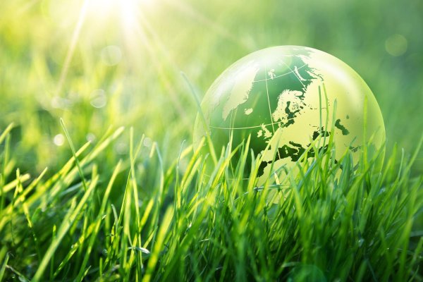 зелена планета