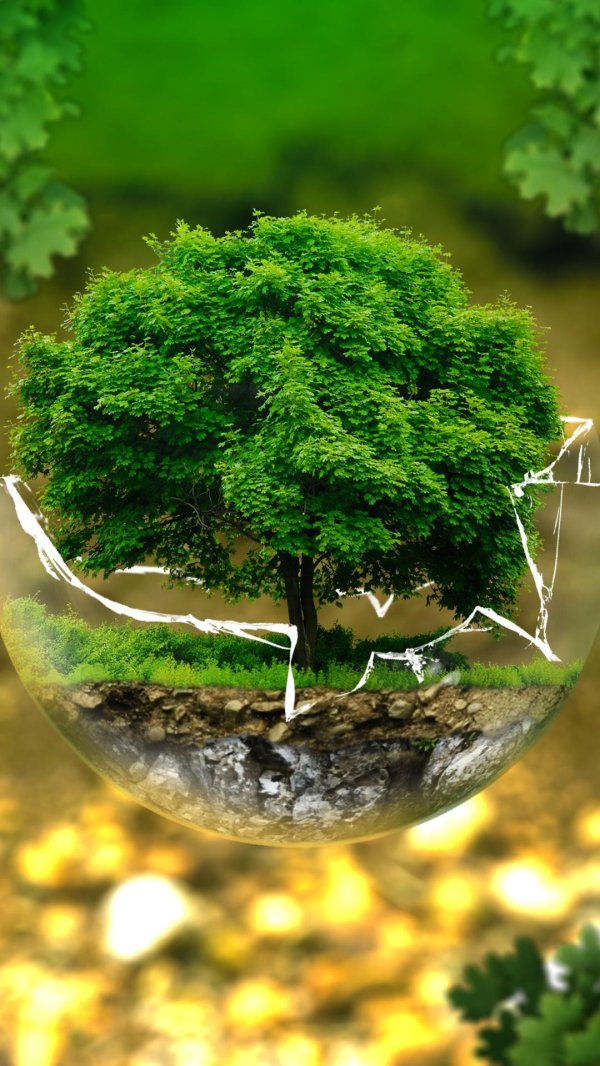 земля природа