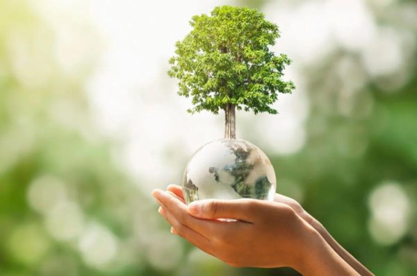 эко природа