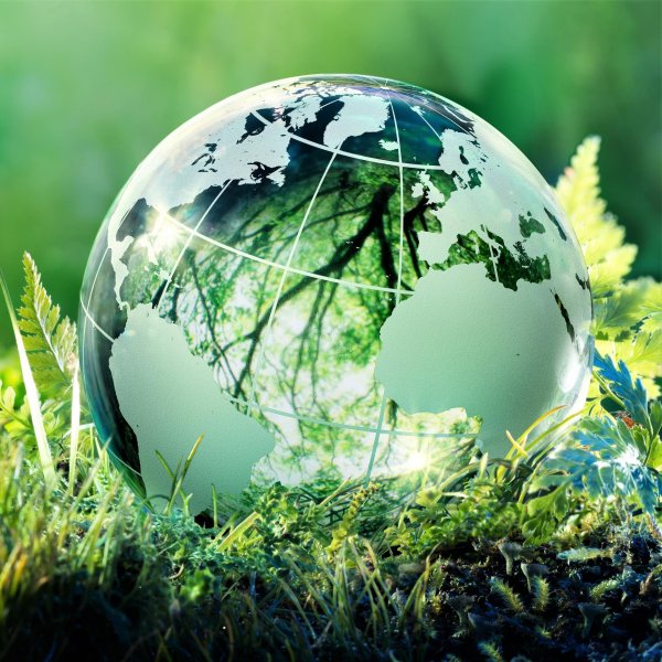 экологический менеджмент