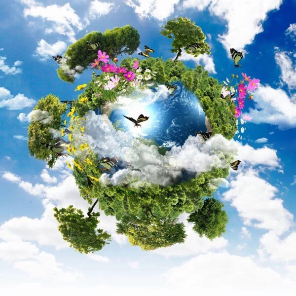 цветущая планета