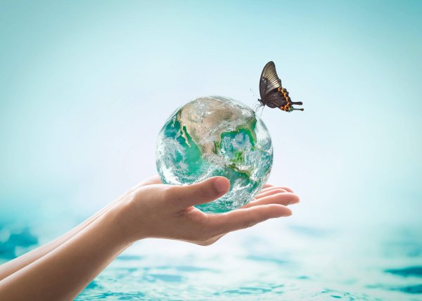 всемирный день водных ресурсов