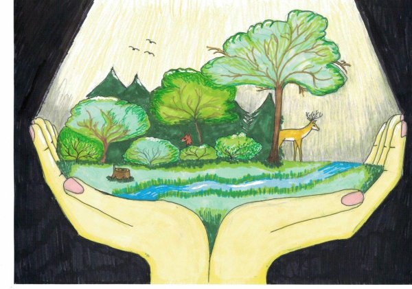 рисунок на тему сохранение природы