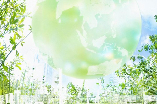 экологический фон для презентации