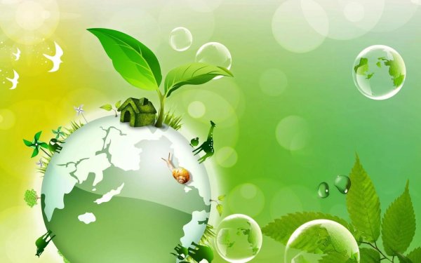 формирование экологической культуры школьников