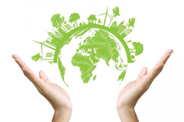 экологические проекты