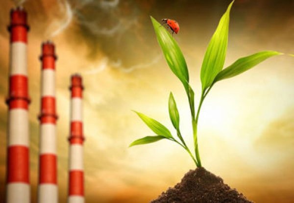 экологическая проблема