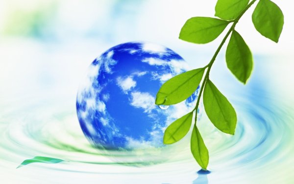 экологическое обоснование