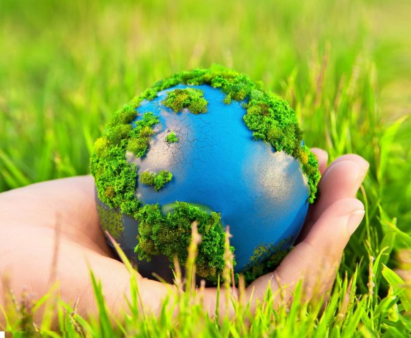 защита природы