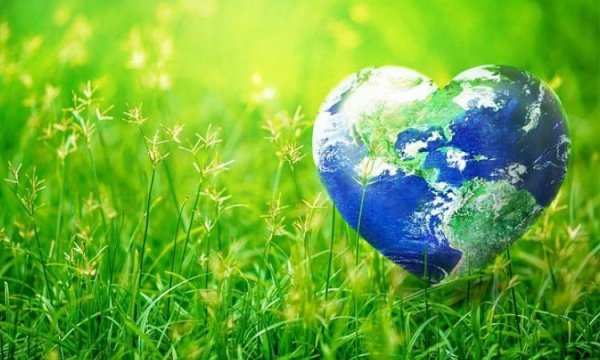 день эколога