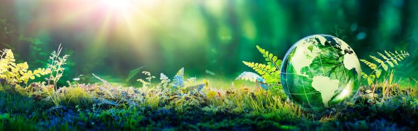 экологический фон