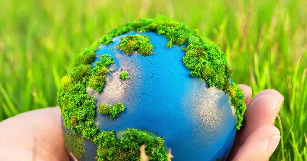 день экологического образования