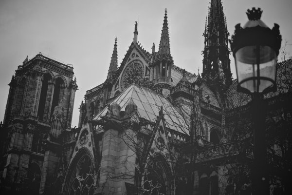 собор парижской богоматери нотр дам де пари