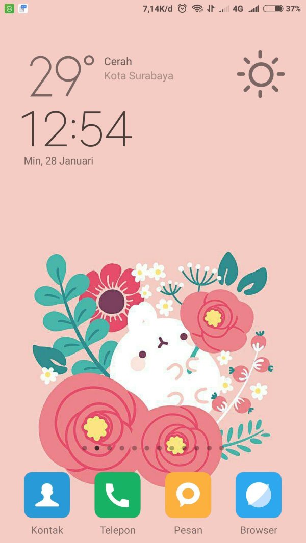 background cute
