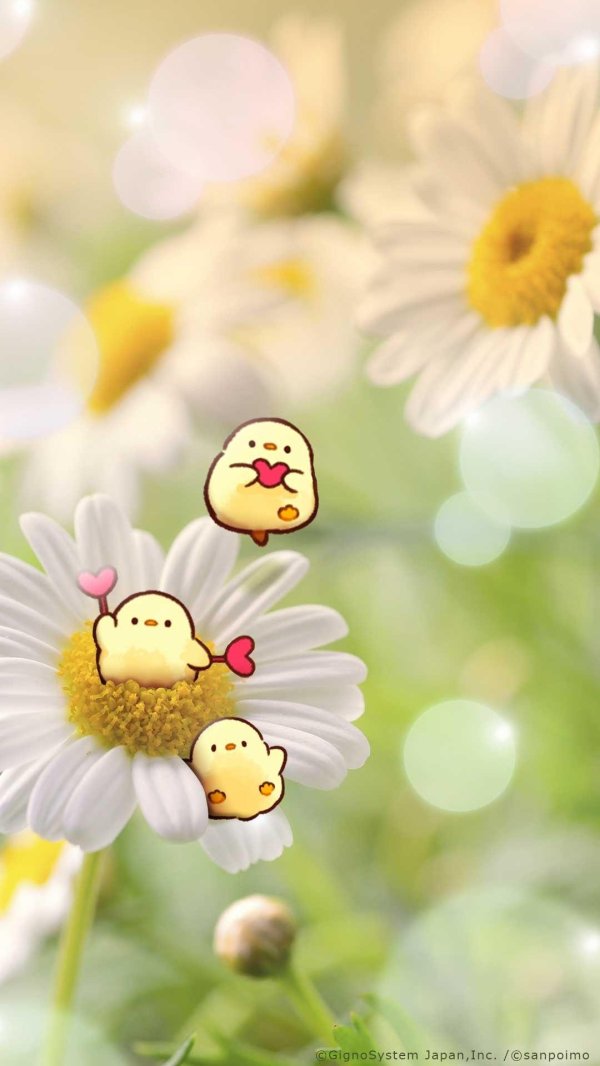 веселая ромашка