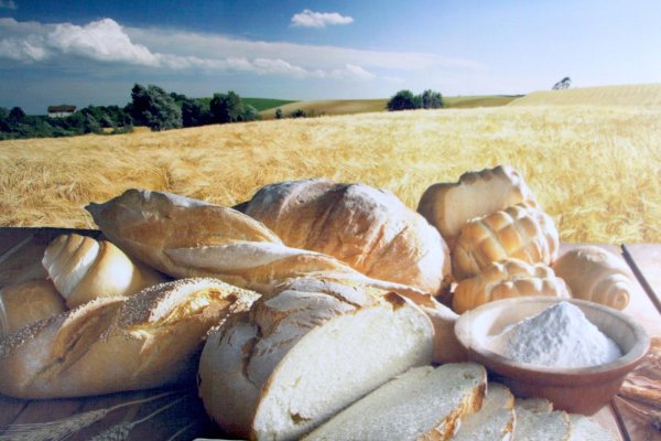 хлеб в поле