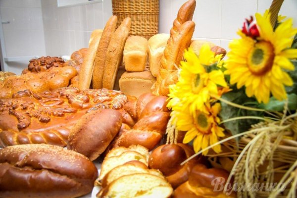 праздник хлеба