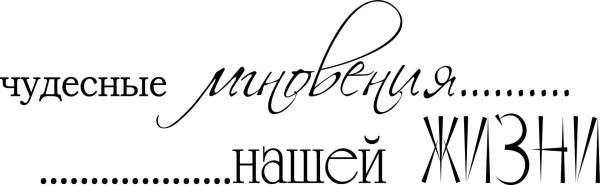 красивые высказывания для фотоальбома