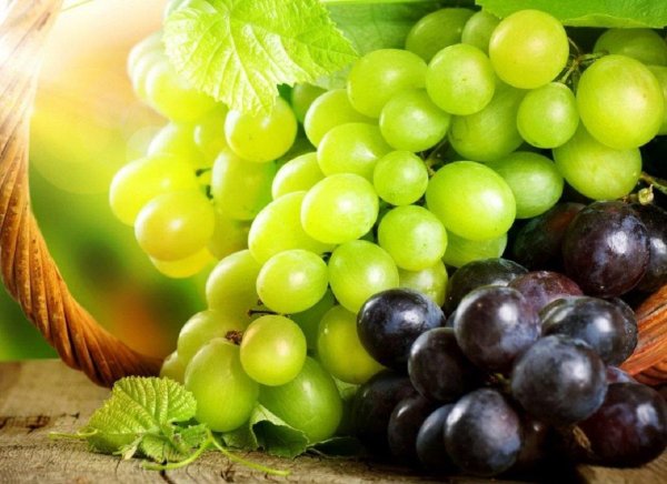 новая эра виноградные косточки